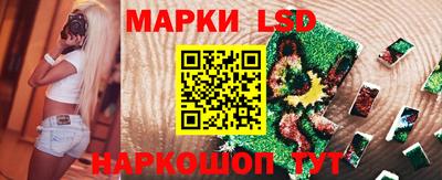 МДПВ Новодвинск