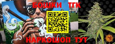 МДПВ Новодвинск