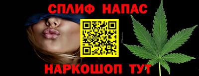 МДПВ Новодвинск