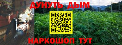 МДПВ Новодвинск