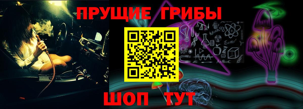 Ростов-на-Дону  Псилоцибиновые грибы мицелий  Вход с VPN  Галлюциногенные грибы Psilocybe 